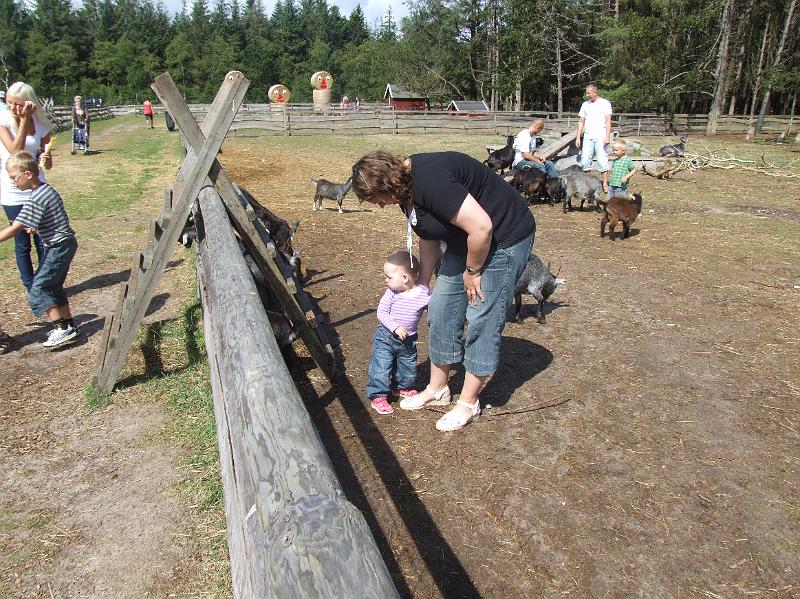 Sofia i  FarmFun 001.jpg